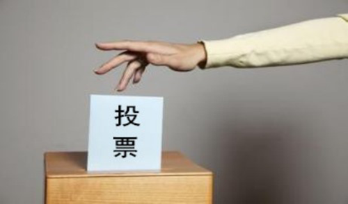 人工投票.png